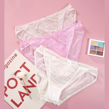 The Mystery of the Magic Box Sexy solid color mesh thin lace-trimmed women's triangle underwear The Mystery of the Magic Box Sexy solid color mesh thin lace-trimmed women's triangle underwear